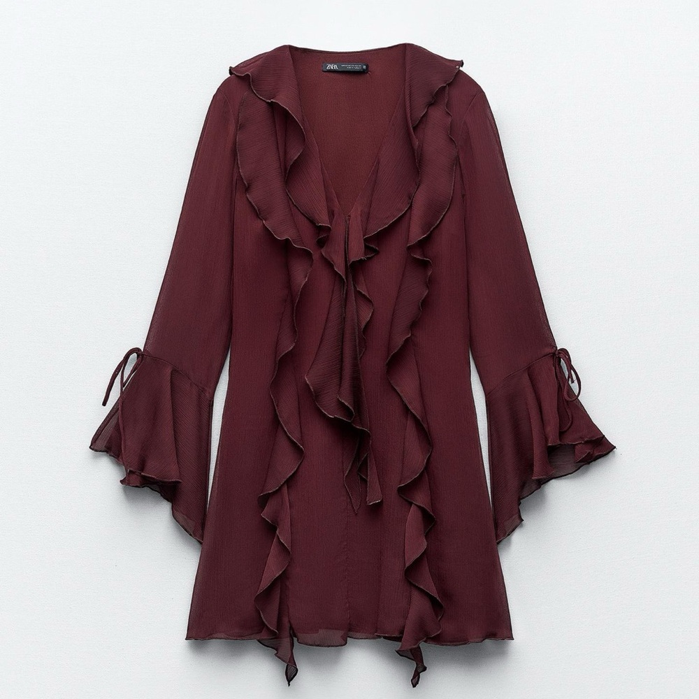 Zara Burgundy Ruffle Mini Dress